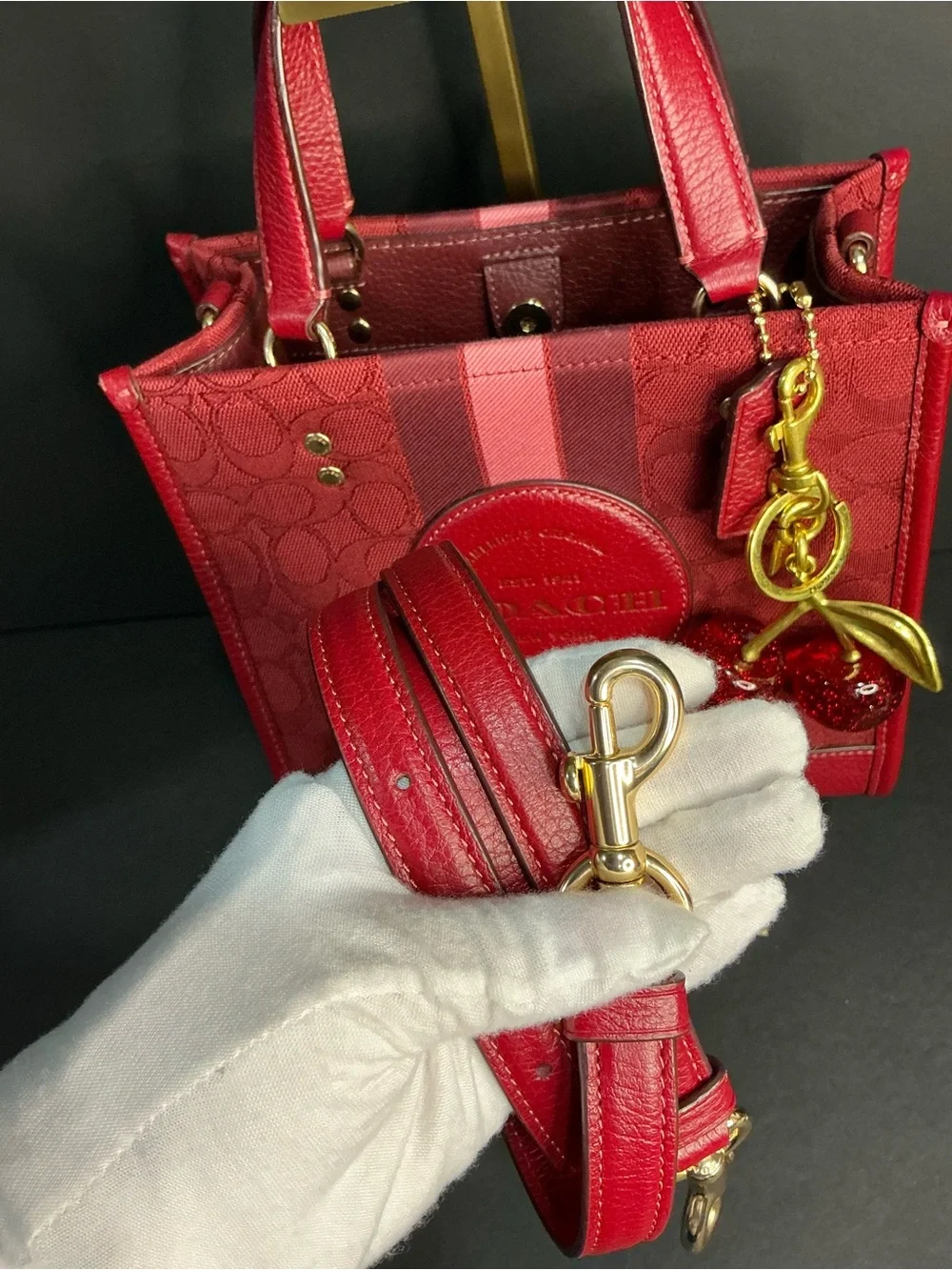 Coach Outlet Dempsey Tote 22 and Coach Cherry Charm